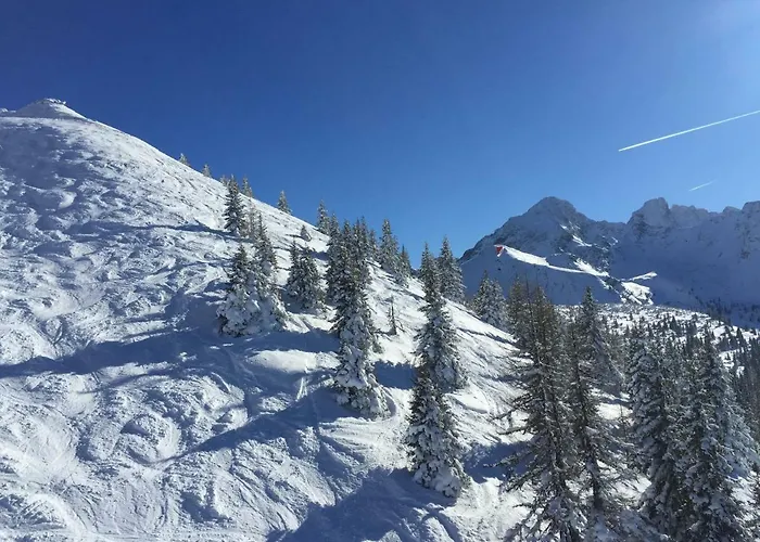 Sonnenhang Studio&design Appartement Schladming